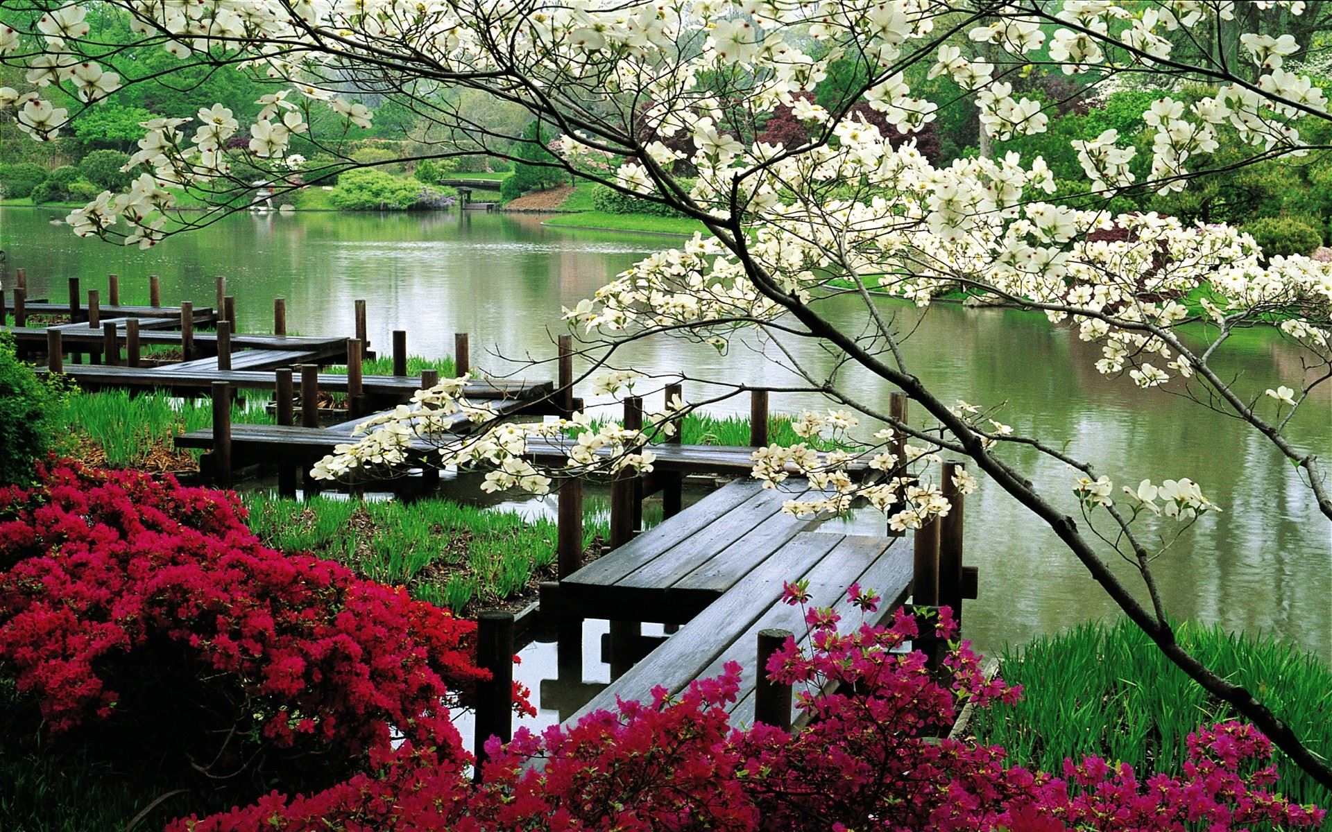 ♈ river, bridge, blossoms, flowers, pier, lake, outdoors, plants | 1920×1200 -【唯美小筑】